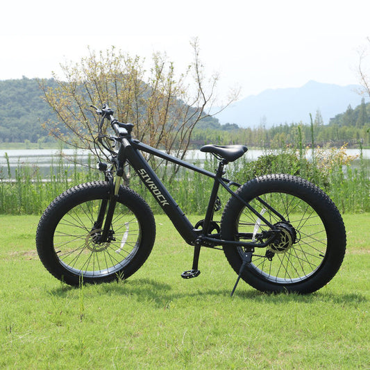 Professional Electric Bike For Adults, 26 X 4.0 Inches Fat Tire