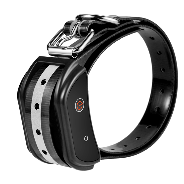 Dog Training Electric Collar with Remote – 3 Training Modes